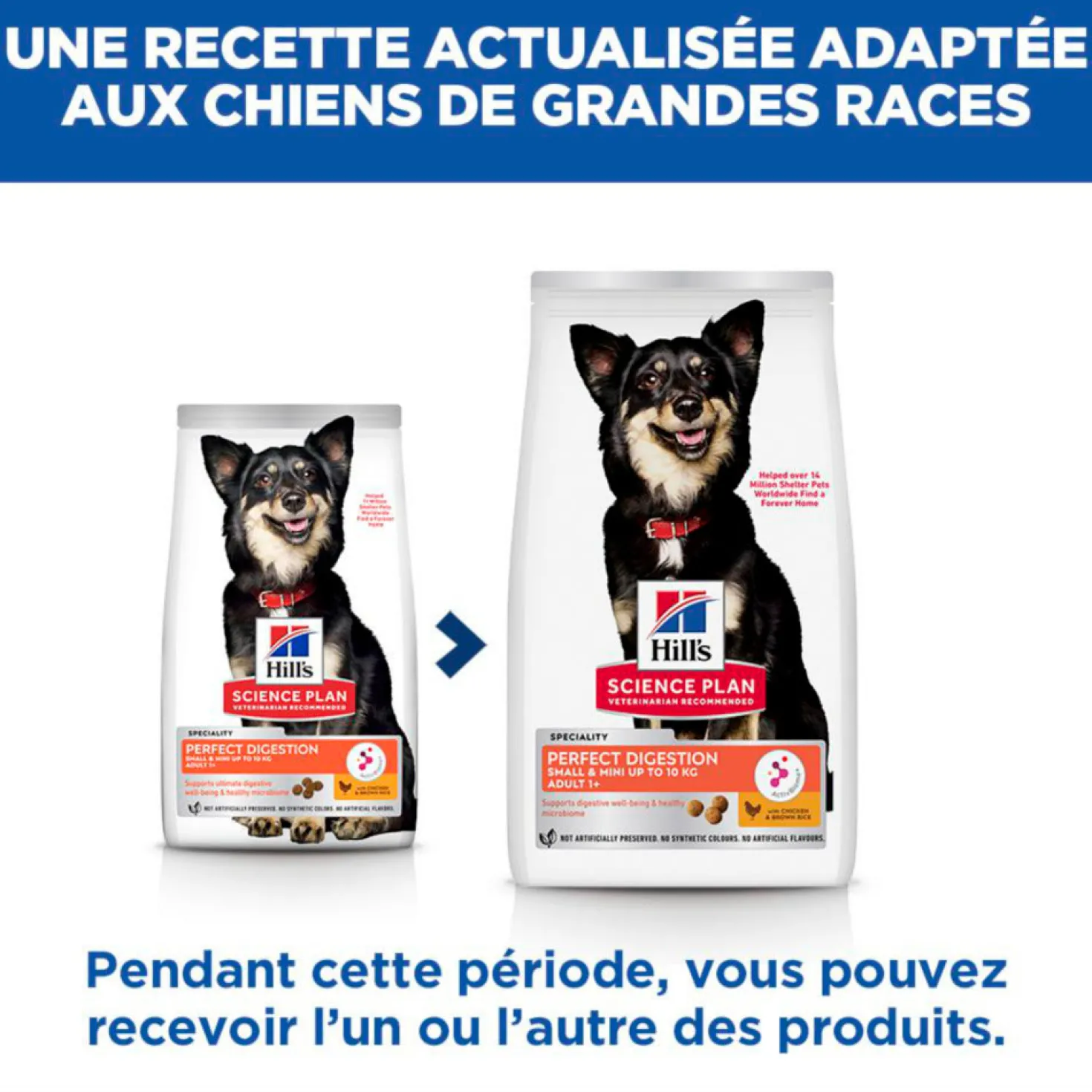 HILL'S Science Plan Perfect Digestion Small & Mini Adult au Poulet - Croquettes pour chien
