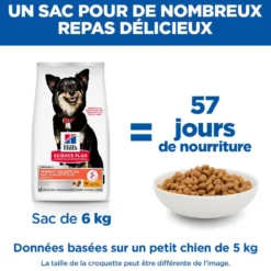 HILL'S Science Plan Perfect Digestion Small & Mini Adult au Poulet - Croquettes pour chien