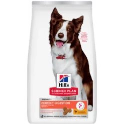 Hill's Science Plan Perfect Digestion Medium Adult au poulet - croquettes chien