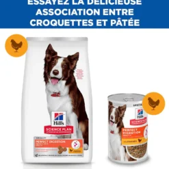 Hill's Science Plan Perfect Digestion Medium Adult au poulet - croquettes chien