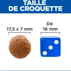 HILL'S Science Plan Perfect Digestion Large Adult au Poulet - Croquettes pour chien