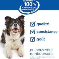 HILL'S Science Plan Perfect Digestion Large Adult au Poulet - Croquettes pour chien