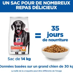 HILL'S Science Plan Perfect Digestion Large Adult au Poulet - Croquettes pour chien