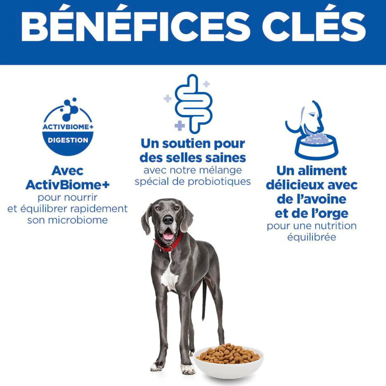 HILL'S Science Plan Perfect Digestion Large Adult au Poulet - Croquettes pour chien