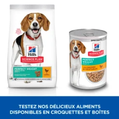 Hill's Science Plan Perfect Weight Medium Adult au poulet - croquettes pour chien