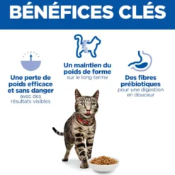 Hill's Science Plan Perfect Weight Adult au poulet - croquettes chat