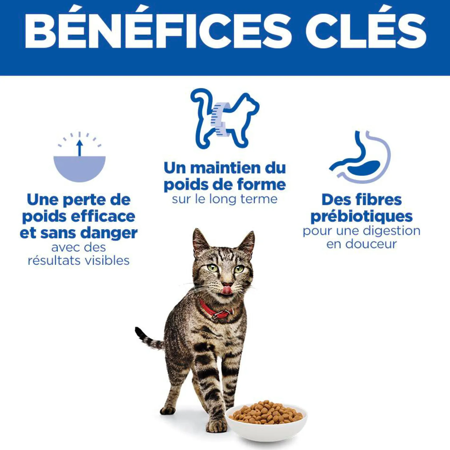 Hill's Science Plan Perfect Weight Adult au poulet - croquettes chat