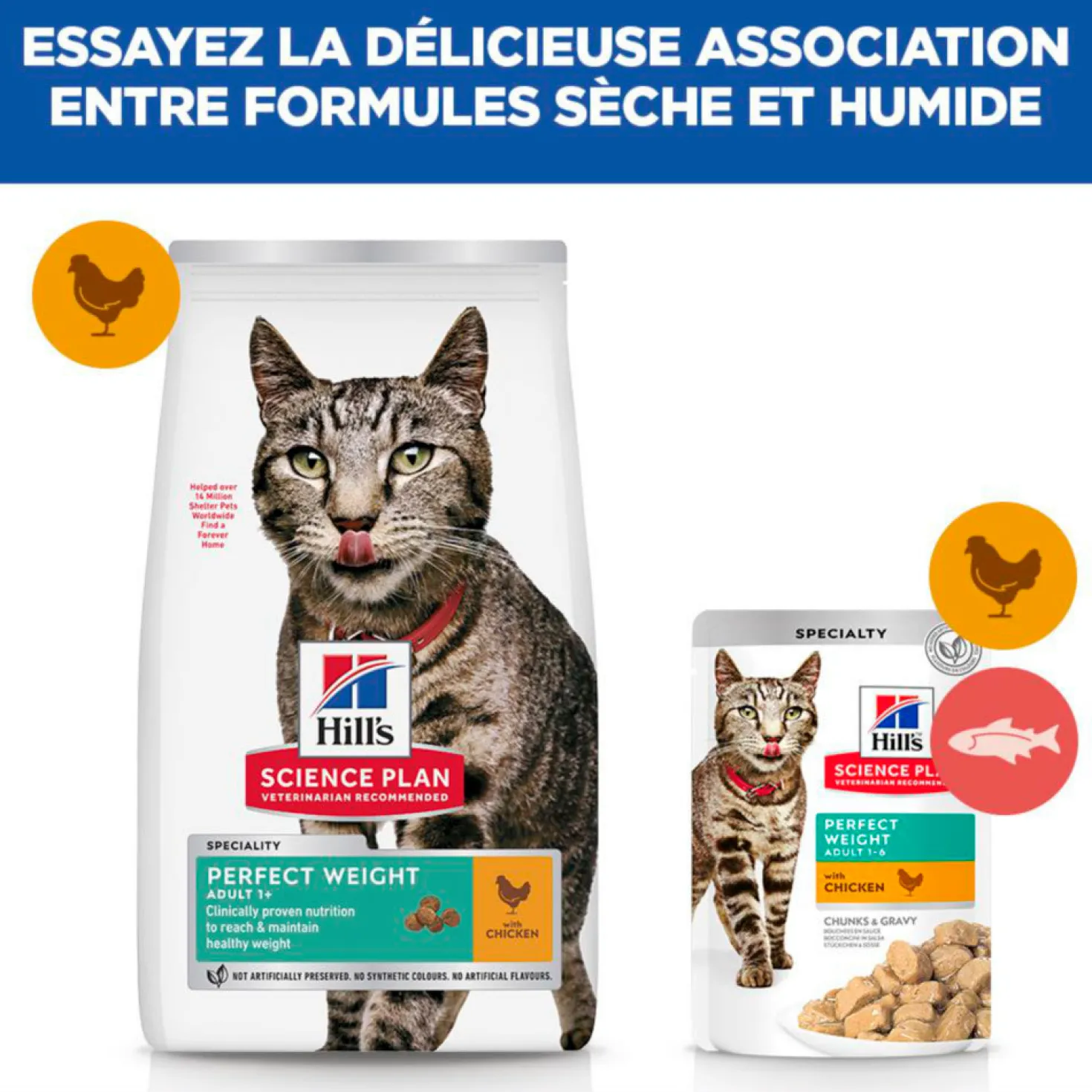 Hill's Science Plan Perfect Weight Adult au poulet - croquettes chat