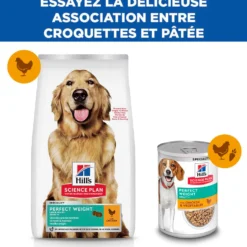 Hill's Science Plan Perfect Weight Large Adult au poulet - croquettes chien