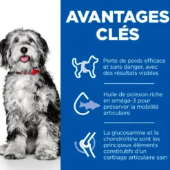 Hill's Science Plan Perfect Weight & Active Mobility Medium Adult au poulet - croquettes chien