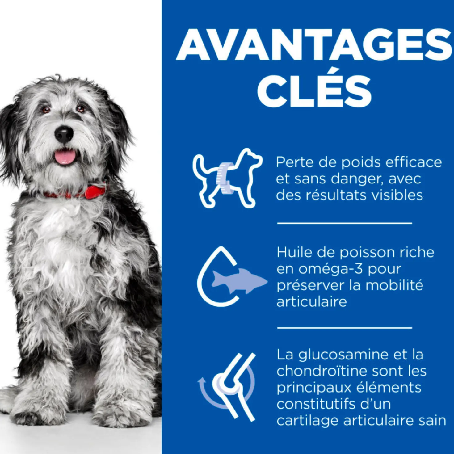 Hill's Science Plan Perfect Weight & Active Mobility Medium Adult au poulet - croquettes chien