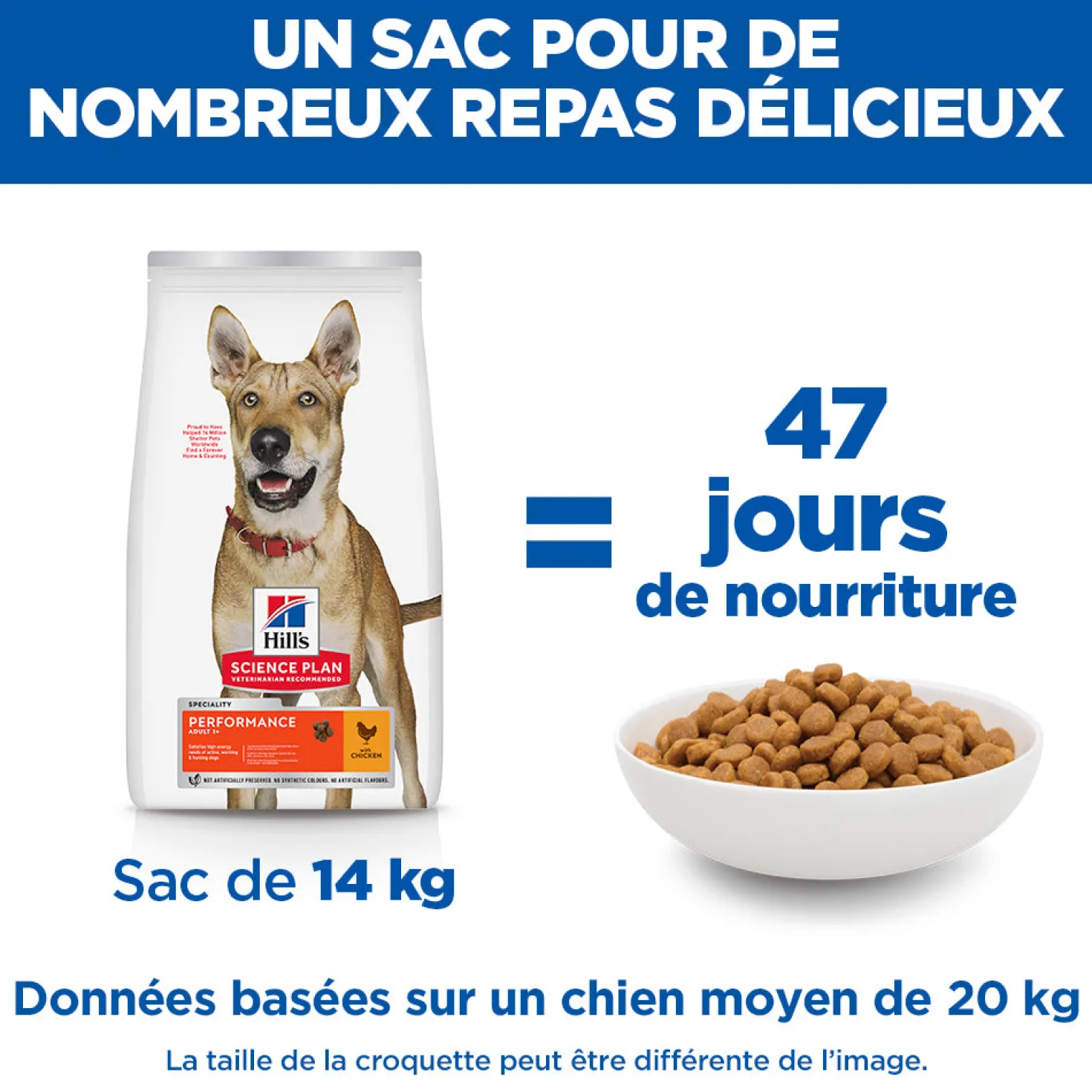 HILL'S Science Plan Performance All Breed Adult au Poulet - Croquettes pour chien
