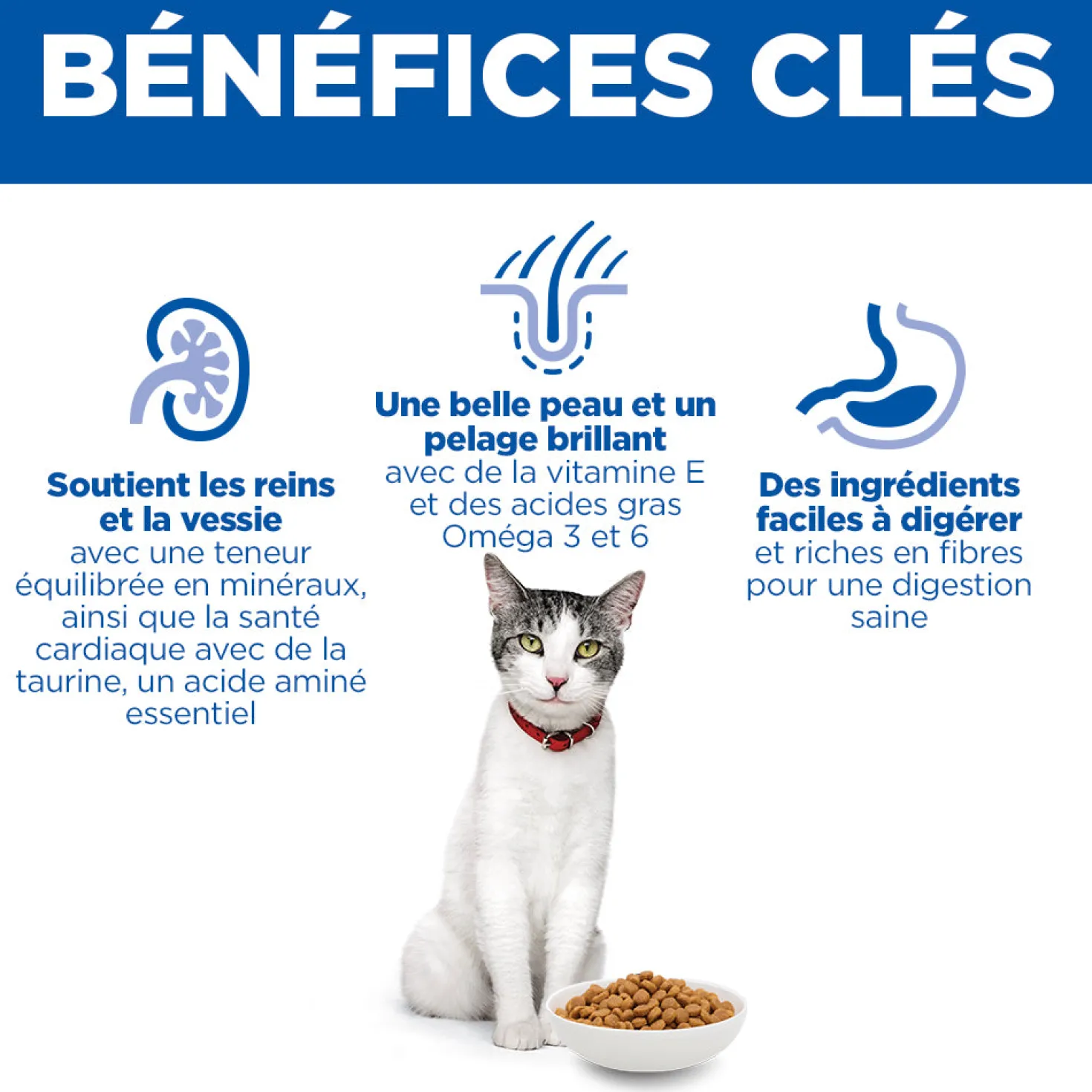 Hill's Science Plan Senior 11+ au poulet - croquettes chat