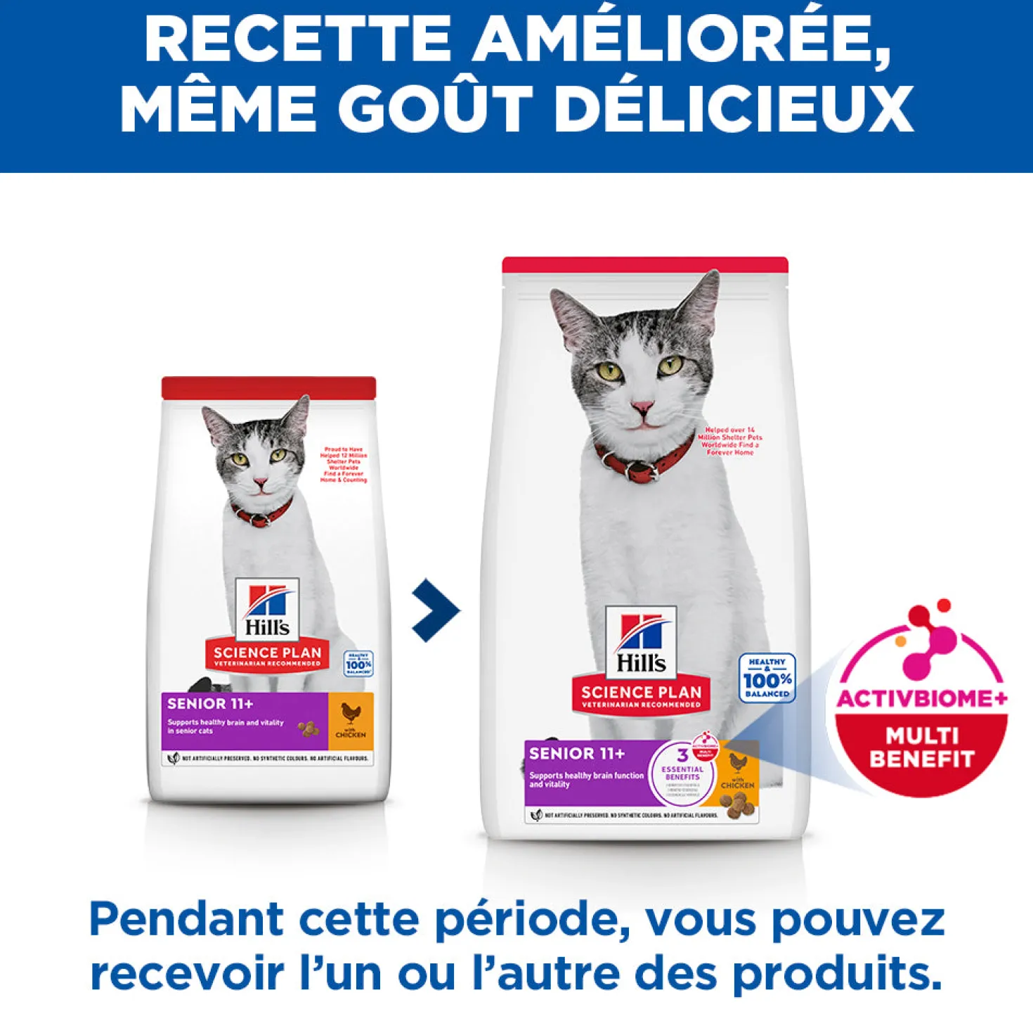 Hill's Science Plan Senior 11+ au poulet - croquettes chat