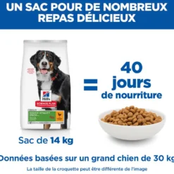Hill's Science Plan Senior Vitality Large Mature Adult 6+ au poulet - croquettes chien