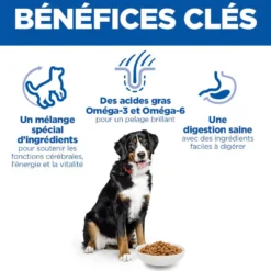 Hill's Science Plan Senior Vitality Large Mature Adult 6+ au poulet - croquettes chien