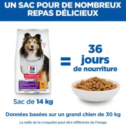 Hill's Science Plan Sensitive Stomach & Skin Medium & Large Adult au poulet - croquettes chien