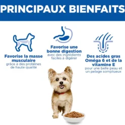 Hill's Science Plan Small & Mini Adult au poulet - croquettes chien