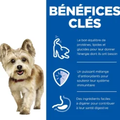 Hill's Science Plan Small & Mini Mature Adult 7+ en mousse au bœuf - pâtée chien