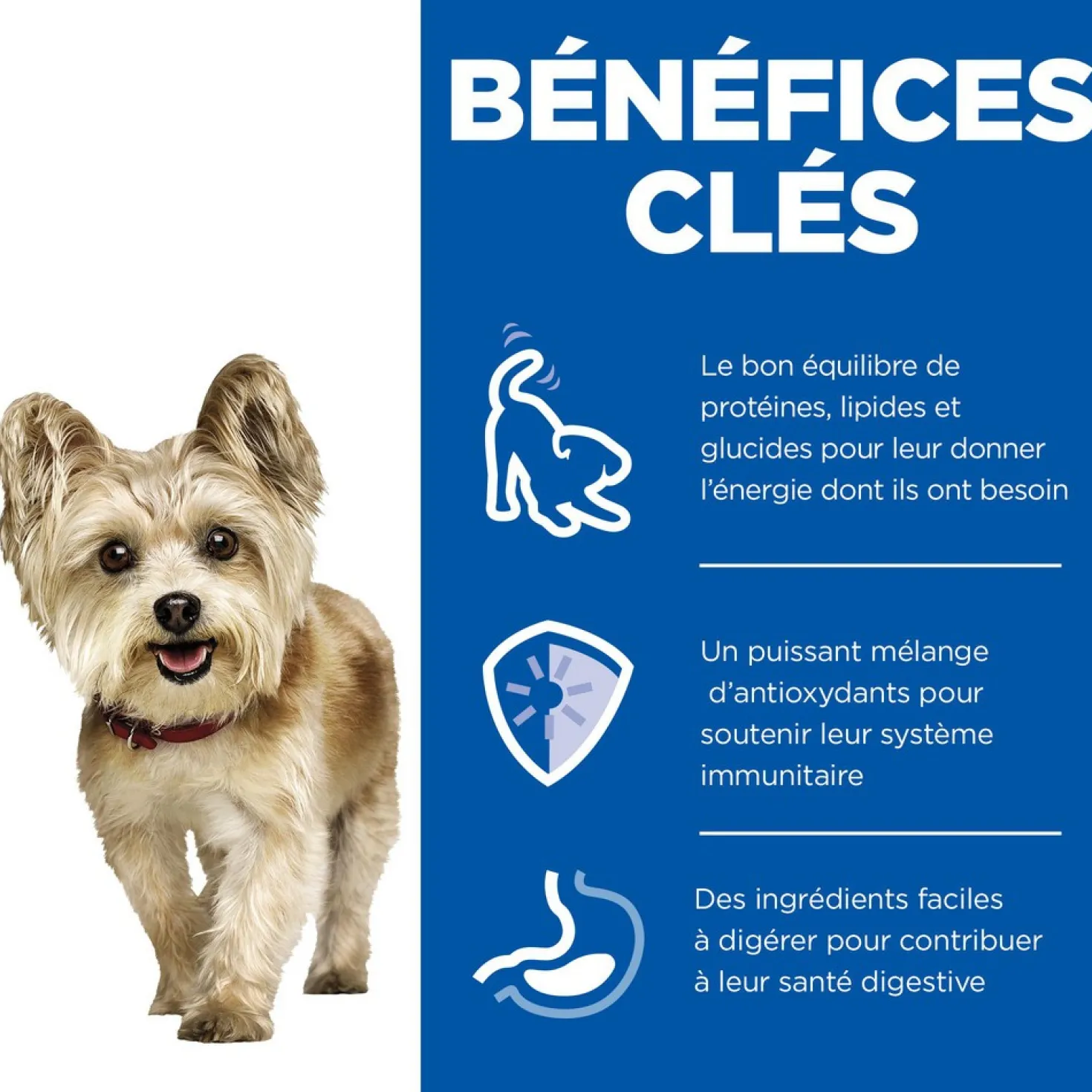 Hill's Science Plan Small & Mini Mature Adult 7+ en mousse au bœuf - pâtée chien