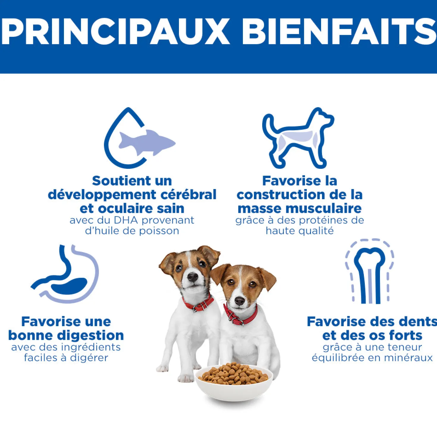 Hill's Science Plan Small & Mini Puppy au poulet - croquettes chiot