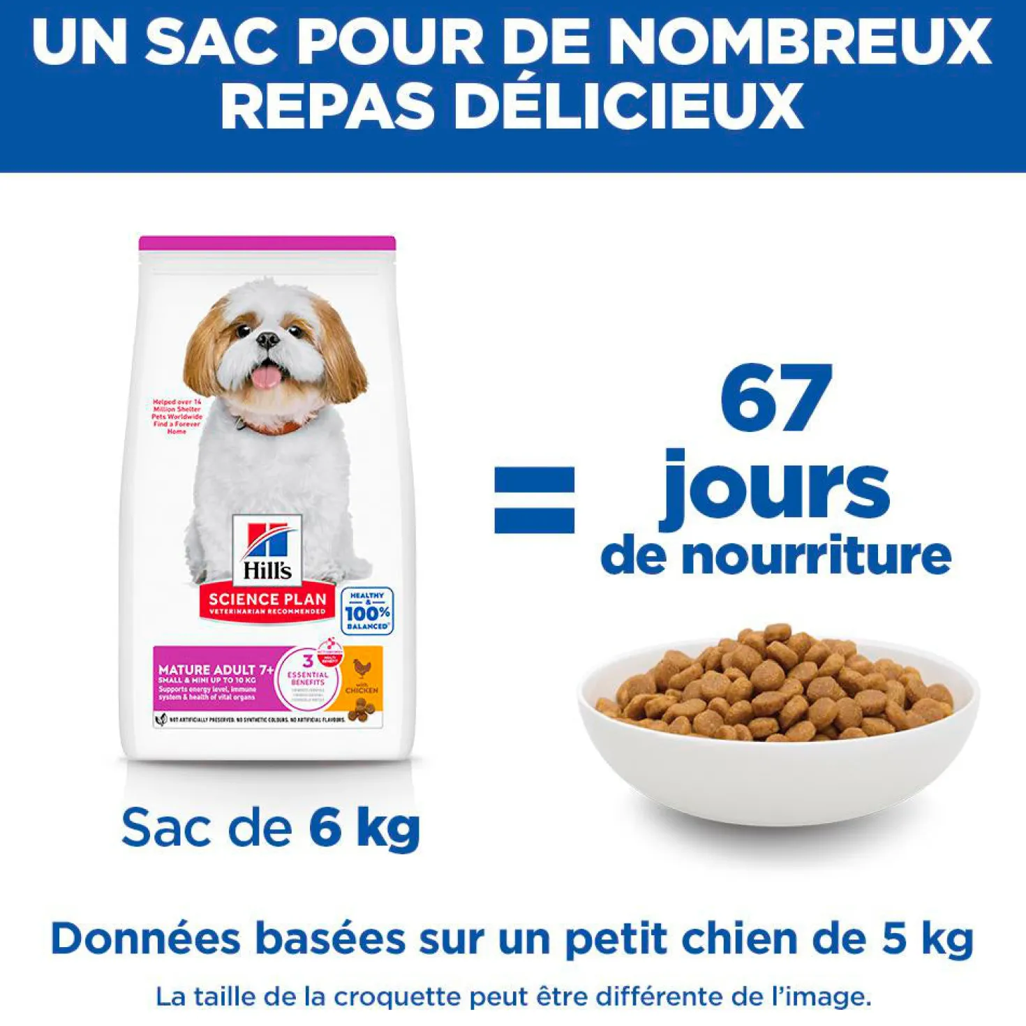 Hill's Science Plan Small & Mini Mature Adult 7+ au poulet - croquettes chien