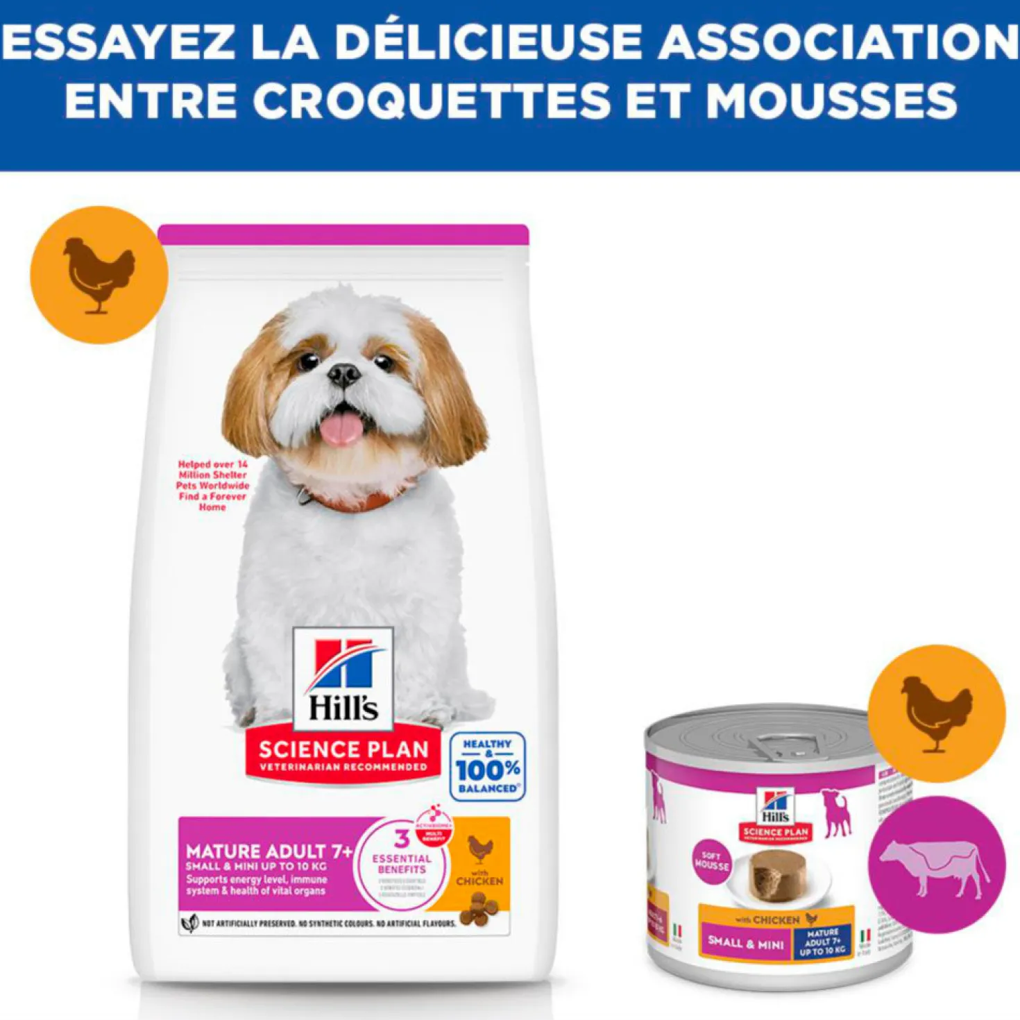 Hill's Science Plan Small & Mini Mature Adult 7+ au poulet - croquettes chien