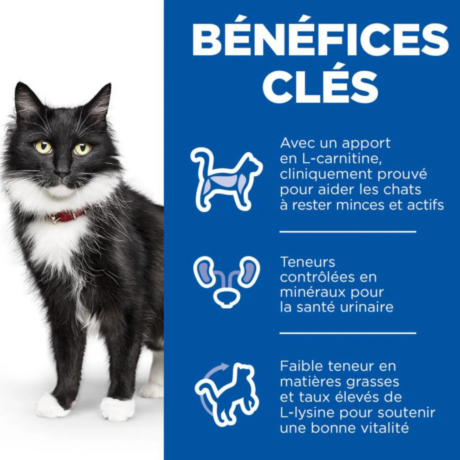 Hill's Science Plan Sterilised Cat Mature 7+ - Sachet Repas Poulet - Poisson de l'Océan 12x85g