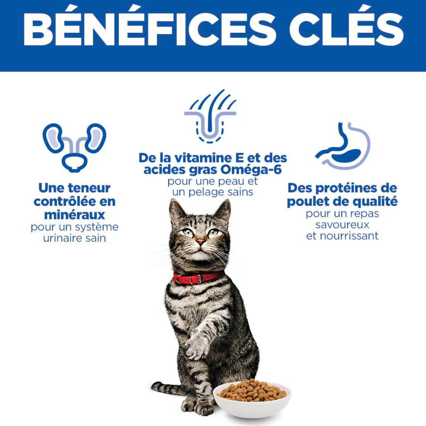 Hill's Science Plan Urinary Health au poulet - croquettes chat