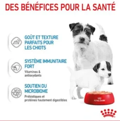 HN Starter Mother & baby Royal Canin - pâtée chiot, chienne