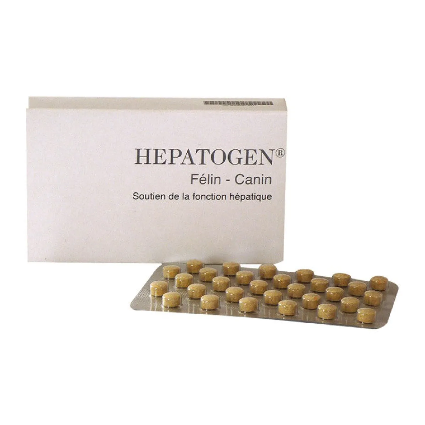 Hépatogen chien, chat