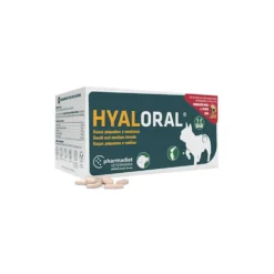 Hyaloral Chiot
