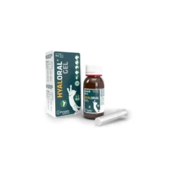 Hyaloral Gel