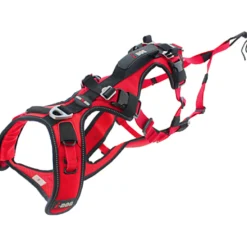 I-Dog - Chien - Harnais Confort Trek