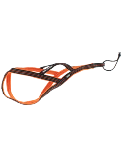 I-Dog - Harnais Canicross X-Back One