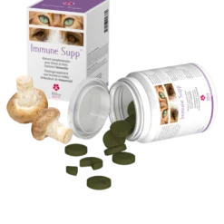 Immune Supp chat, chien