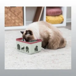 Jeu de stratégie Rod box pour chat