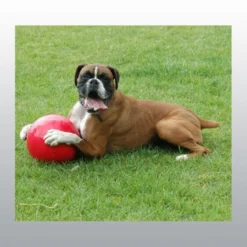 Jouet Boomer Ball