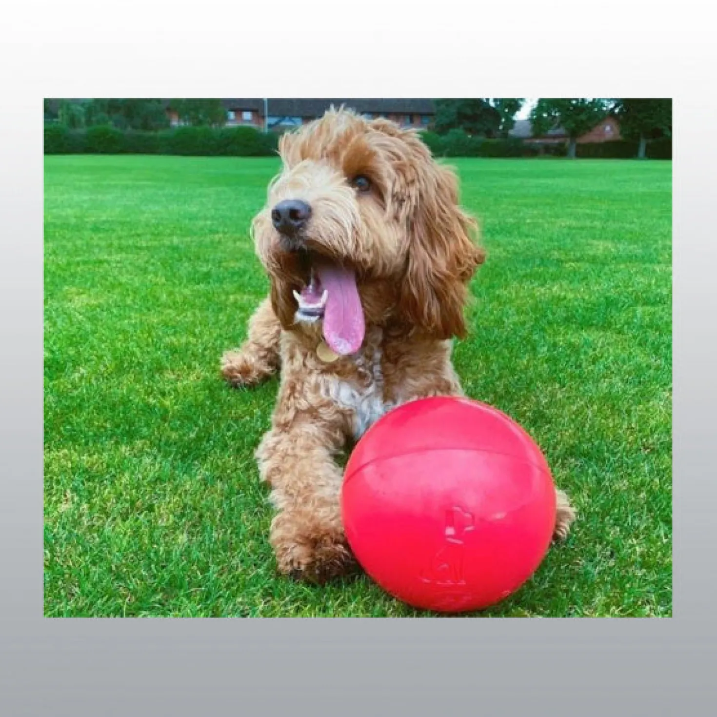 Jouet Boomer Ball