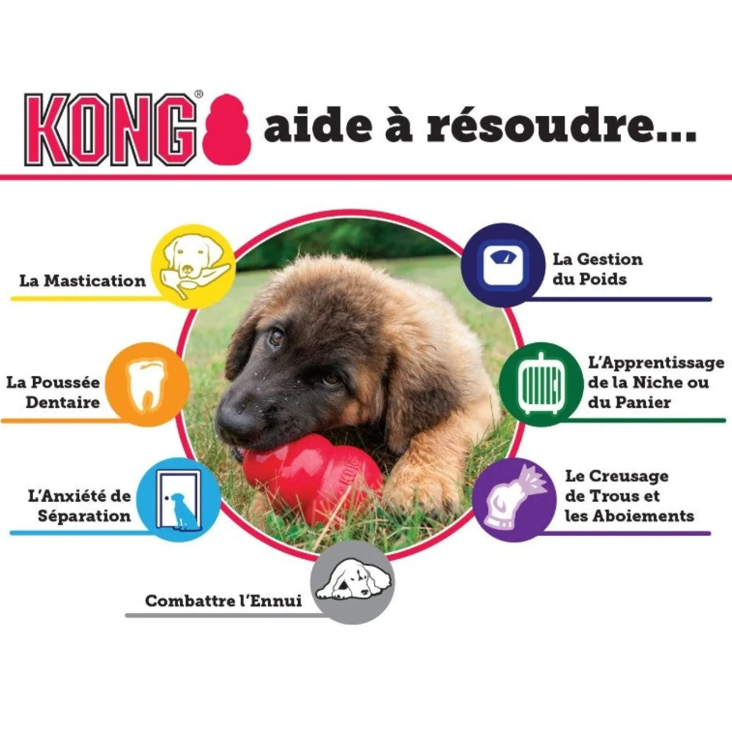Jouet Classic KONG - Jouet à mâcher pour chien