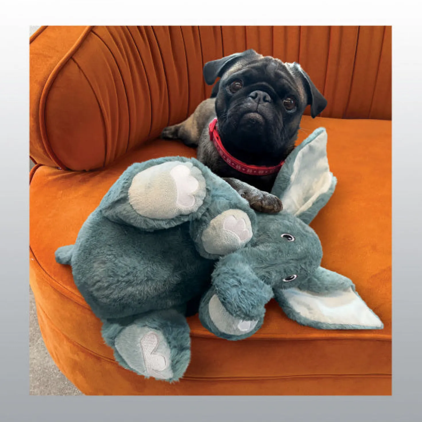 Jouet Comfort Elephant