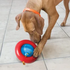 Jouet distributeur Gyro de Kong chien