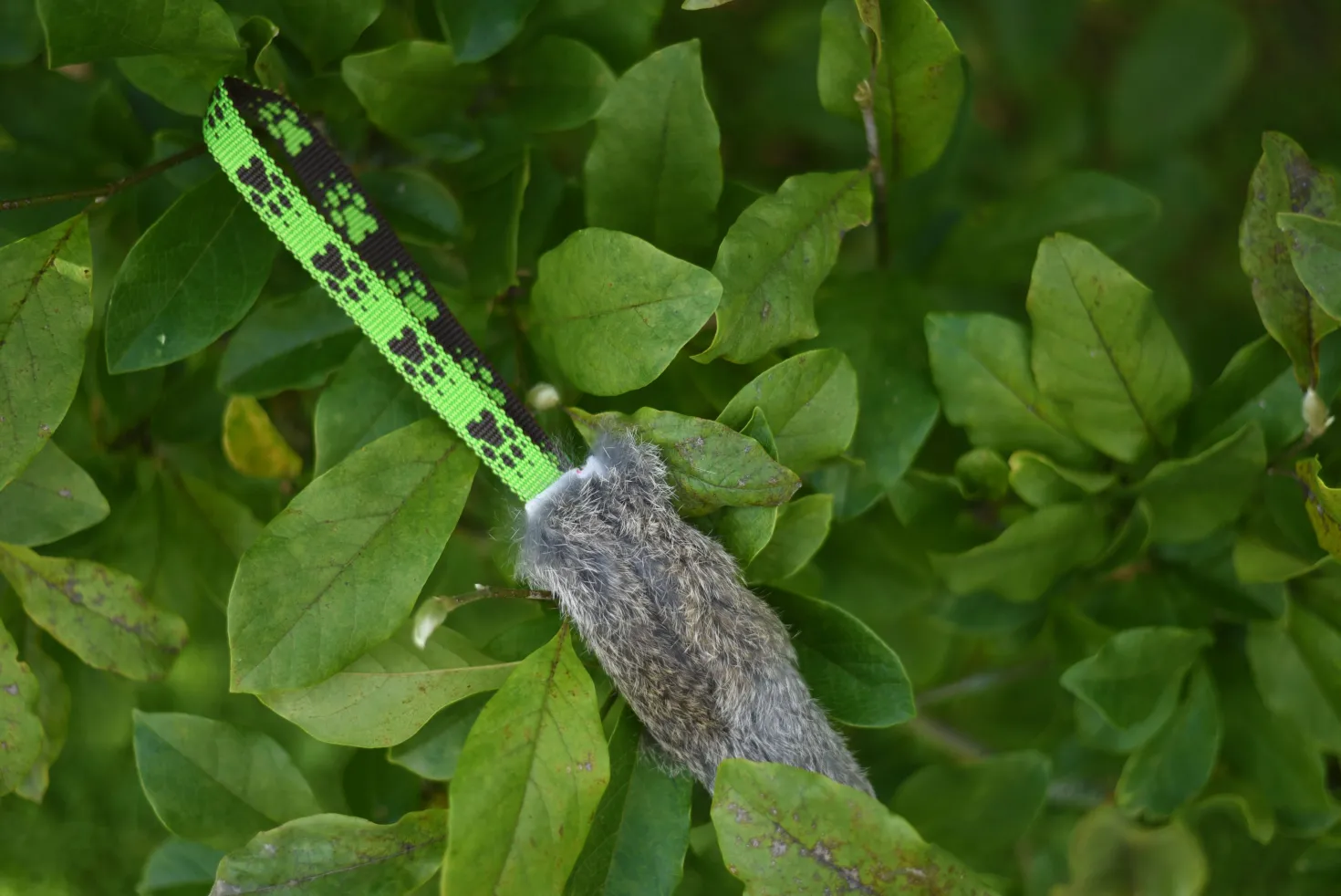 Jouet Flexipets rabbit mini 1 anse
