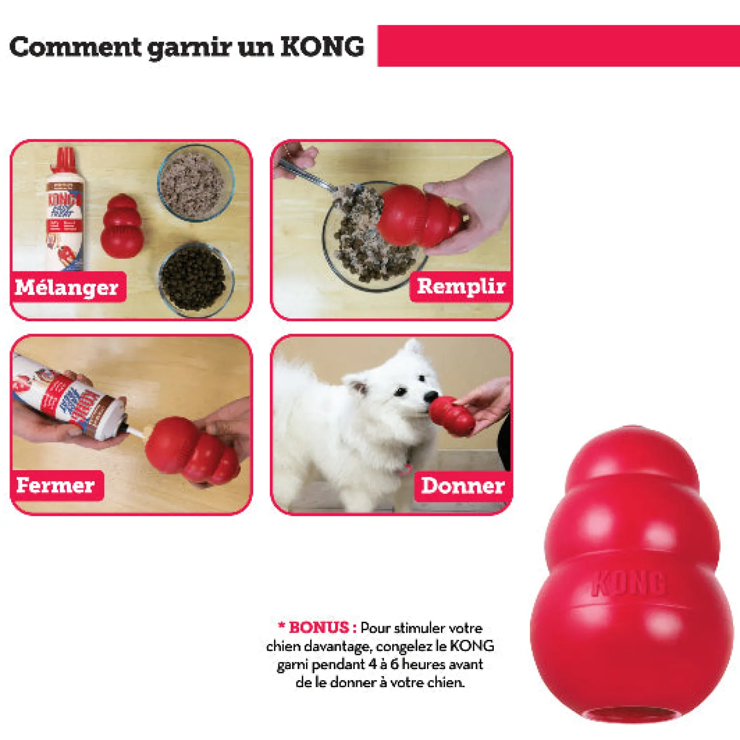 Jouet Kong chiot