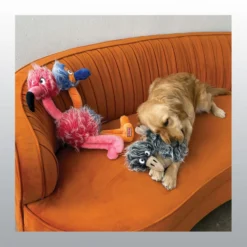 Jouet Kong Comfort Jumbo Bird chien