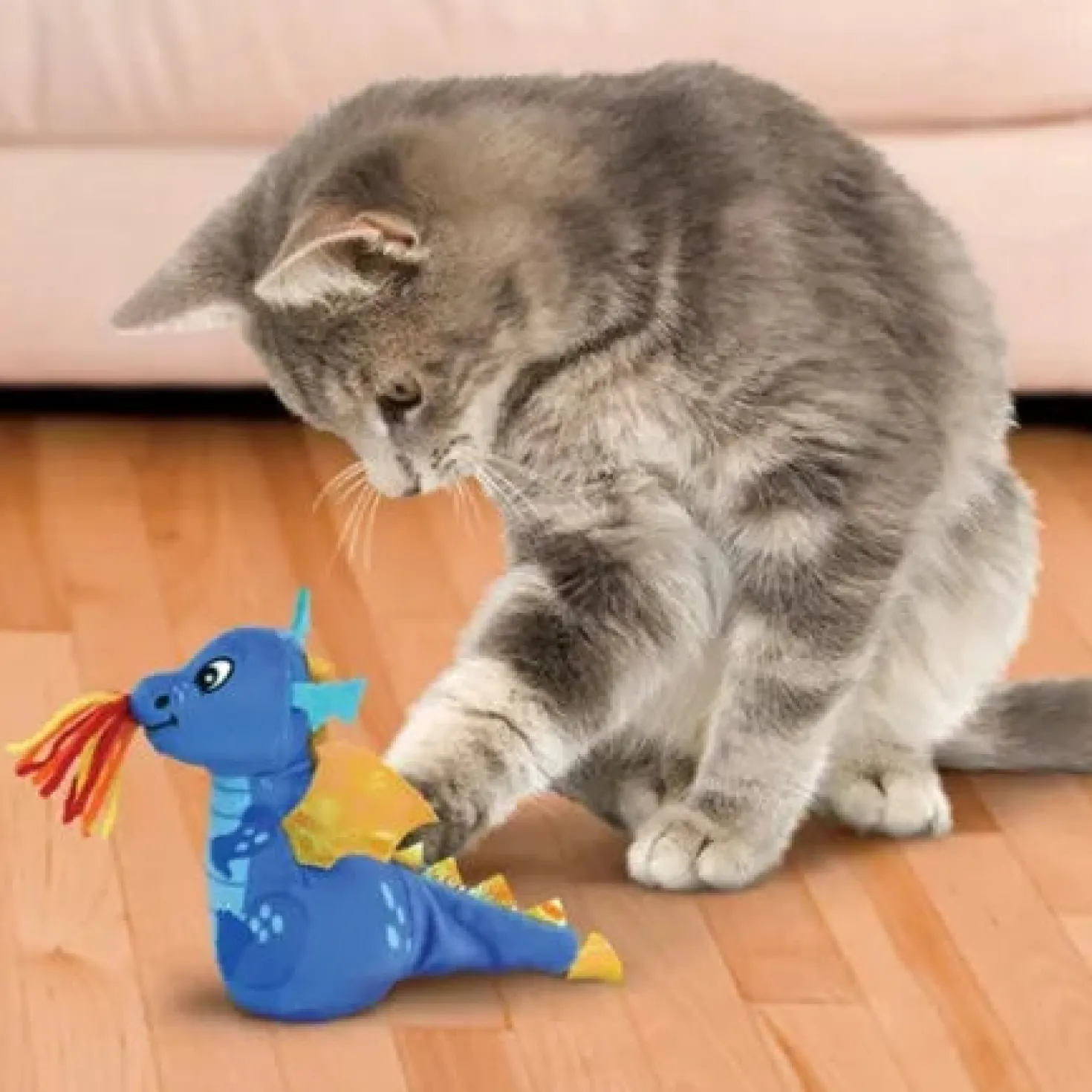 Jouet Kong Enchanted Dragon chat