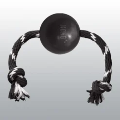 Jouet Kong Extrême Ball avec cordre