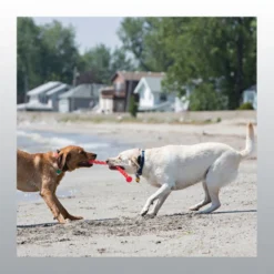 Jouet Kong Safestix chien