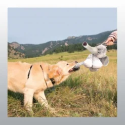 Jouet Kong Stretchezz Legz Eléphant chien