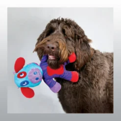 Jouet Kong Switcheroos chien
